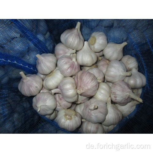 New Crop Frischer normaler weißer Knoblauch 2019